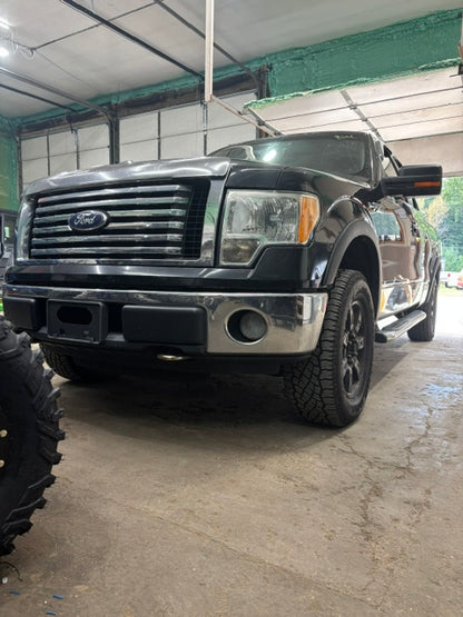 2010 FORD F-150